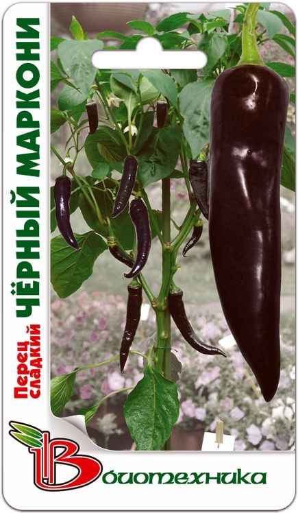 Перец Маркони: отзывы, фото, хаpaктеристика и описание сорта