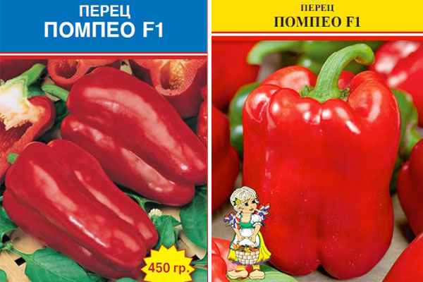 Перец Помпео F1 сладкий: отзывы, описание сорта, фото, урожайность
