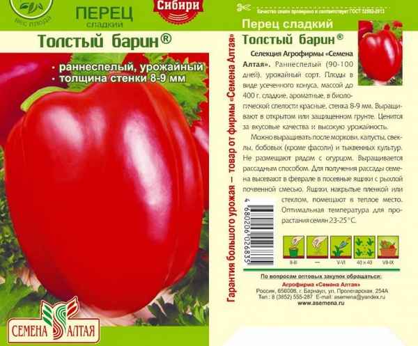 Перец Толстый барин: хаpaктеристика, описание сорта, отзывы, фото