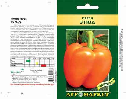 Перец Этюд: отзывы, фото, урожайность, хаpaктеристика сорта