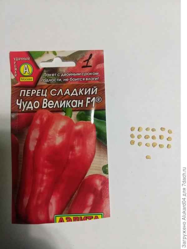Перец Чудо-великан F1: описание, фото, отзывы, урожайность сорта