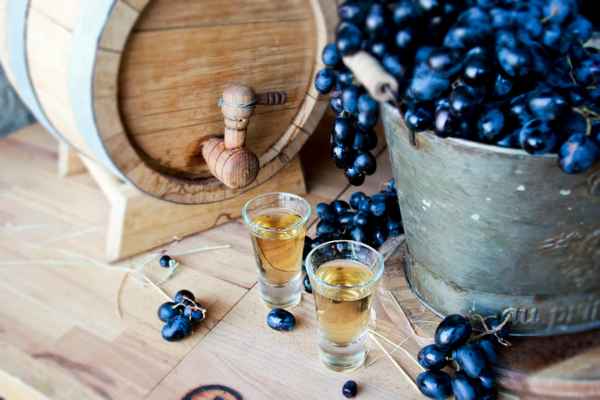 Вино, самогон, чача из винограда изабелла в домашних условиях