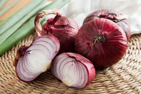 Крымский (ялтинский) лук - фото, как отличить подделку, польза и вред