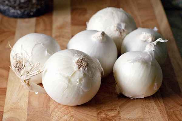 Белый лук: сравнение с обычным, для чего использовать, польза и вред