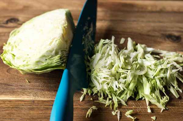Как шинковать капусту: как быстро и просто нарезать капусту (фото + видео)