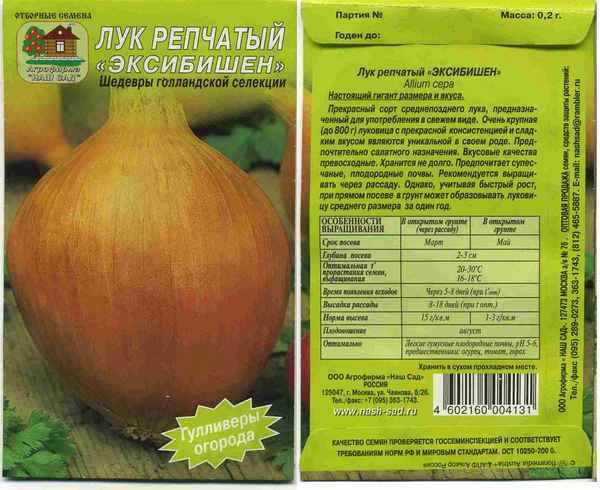 Лук эксибишен: выращивание через рассаду, описание сорта, фото