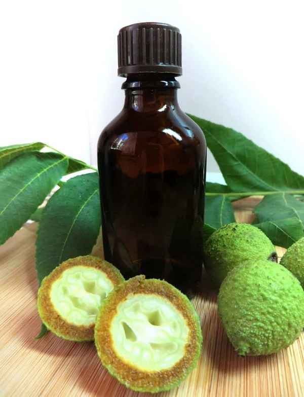 Черный орех: полезные свойства и противопоказания, применение настойки