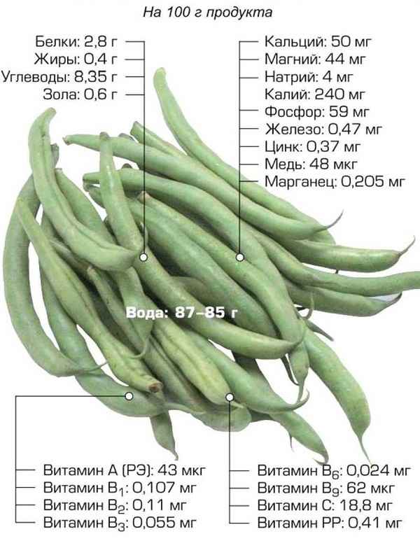 Стручковая фасоль: польза и вред, лечебные свойства и противопоказания, калорийность