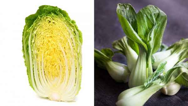 Китайская капуста: фото, польза и вред, калорийность