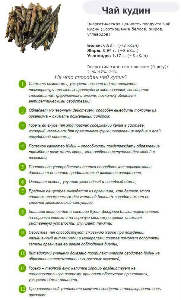 Чай кудин: польза и вред, советы врачей, полезные свойства и противопоказания
