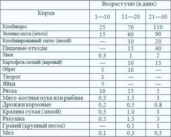 Чем кормить утят: нормы для суточных утят и содержание первые 3 недели