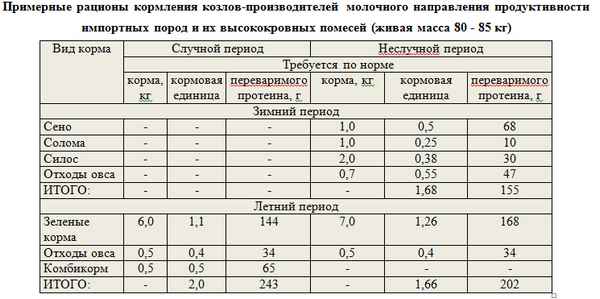 Чем кормить козу: правила и нормы кормления зимой и летом