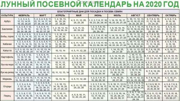 Благоприятные дни для посадки на огороде в мае 2020 года по лунному календарю