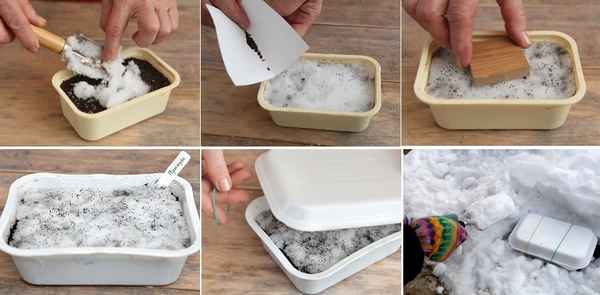 Стратификация семян в домашних условиях - что это и как ее проводить