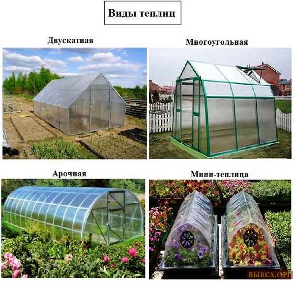 Теплицывиды, назначение, размещение