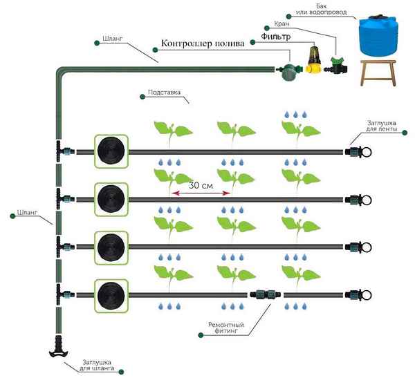 Особенности эффективного полива в открытом грунте и в теплицах