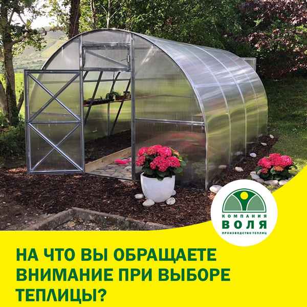 Часто задаваемые вопросы при выборе теплицы