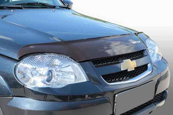 Как выбрать ветровики и мухобойку