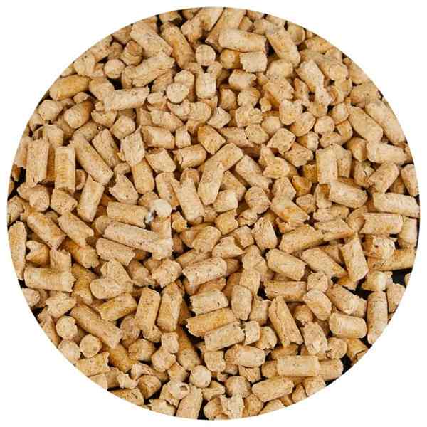 Как выбрать наполнитель для кошачьего туалета