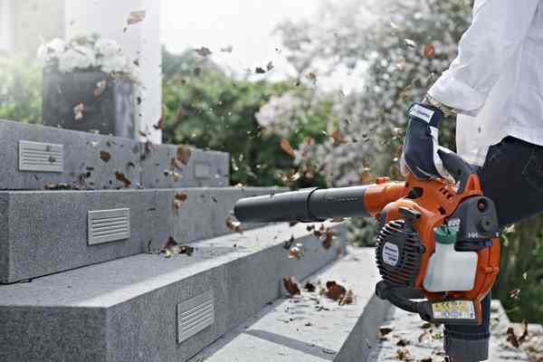 Как выбрать садовый пылесос и воздуходувку