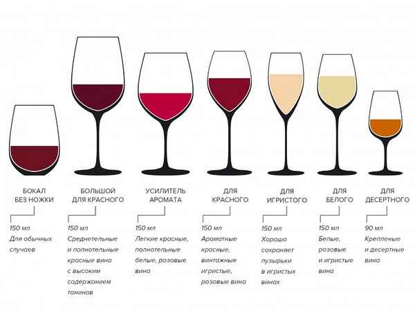 Бокалы для красного вина: какие должны быть фужеры, размеры сосудов для сухого сорта