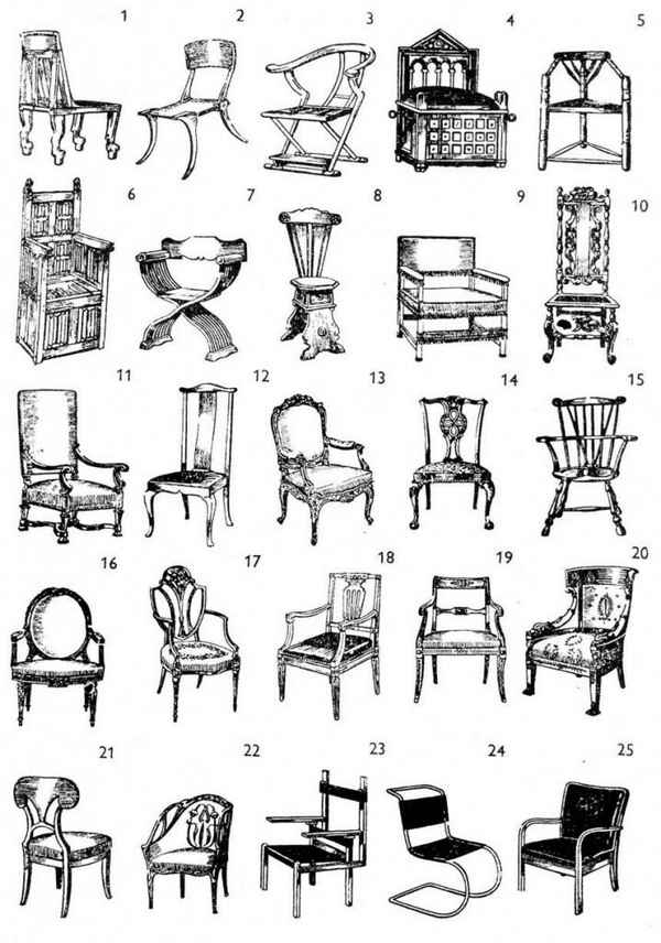 Эволюция стула