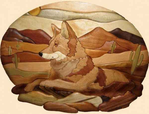 20 лучших программ для ландшафтного дизайна