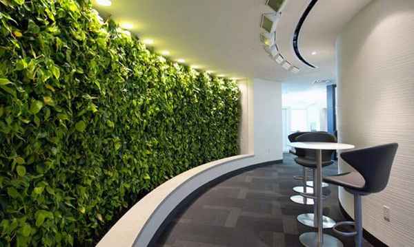 Вертикальное озеленение; главные плюсы и преимущества с фото