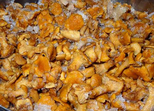 Как можно заморозить лисички на зиму?