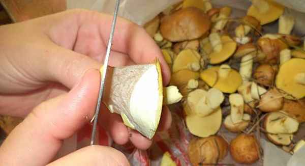 Как легко почистить маслята от шкурки и как их готовить