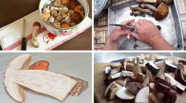 Грибы подосиновики и подберёзовики: первичная чистка после сбора, как помыть, обработка для разных способов приготовления