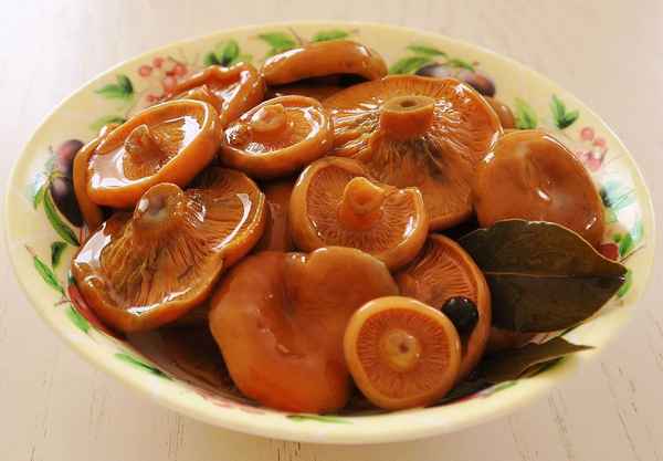 Как мариновать рыжики