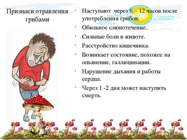 Отравление шампиньонами: симптомы