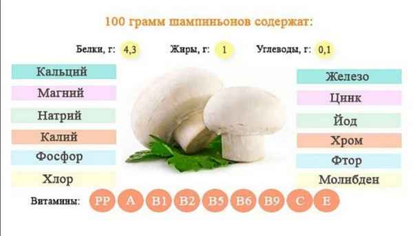 Шампиньоны при диете: пищевая ценность и полезные свойства
