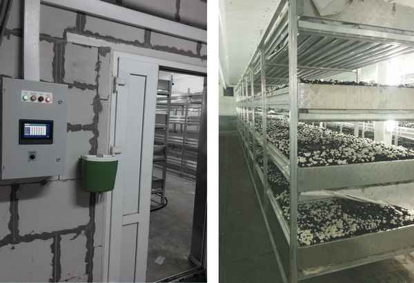 Какое оборудование требуется для выращивания шампиньонов