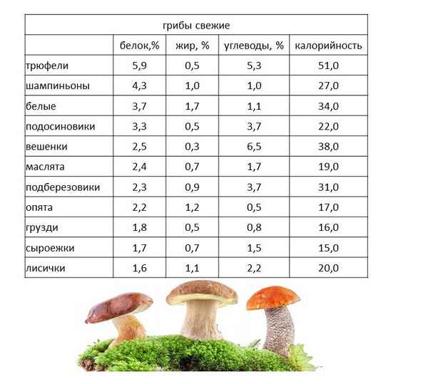 Грибы шампиньоны: сколько по времени жарить, рецепты, пищевая ценность
