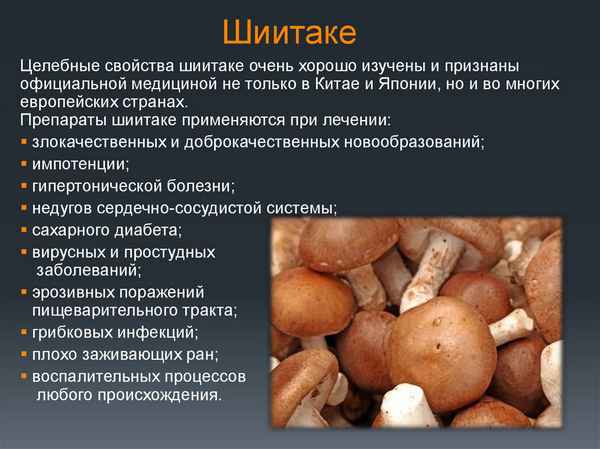 Польза и вред грибов шиитаке