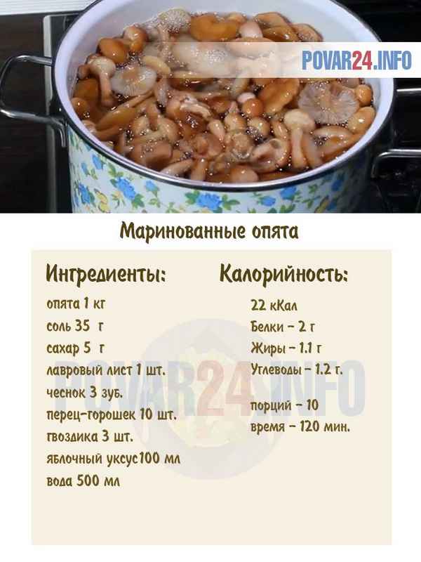 Грибы опята — способы приготовления, рецепты, калорийность