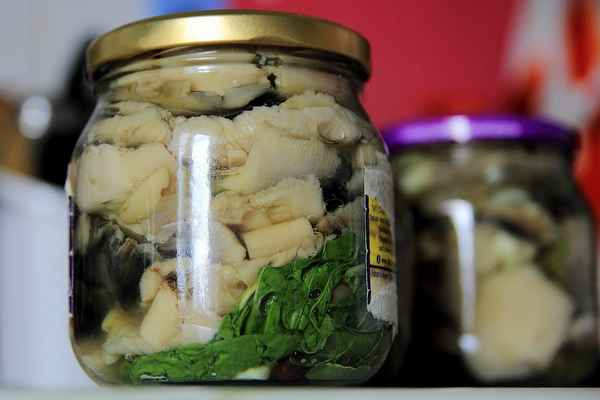 Рецепты маринования сыроежек