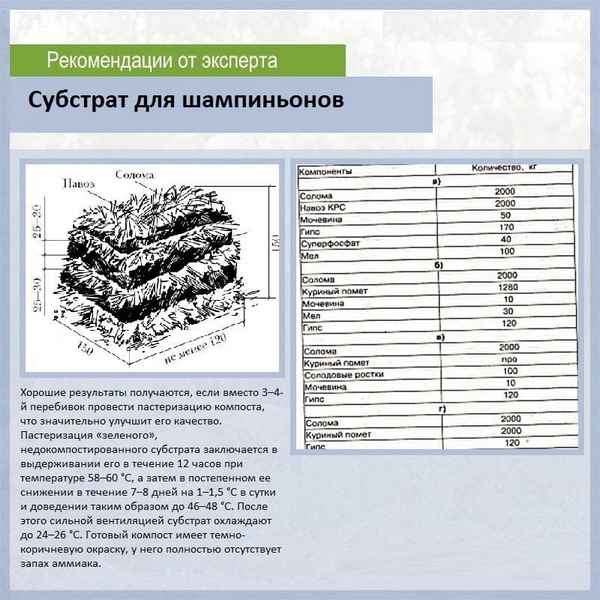 Состав и подготовка субстрата для шампиньонов своими руками