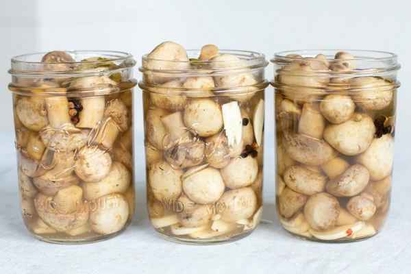 Как мариновать шампиньоны на зиму