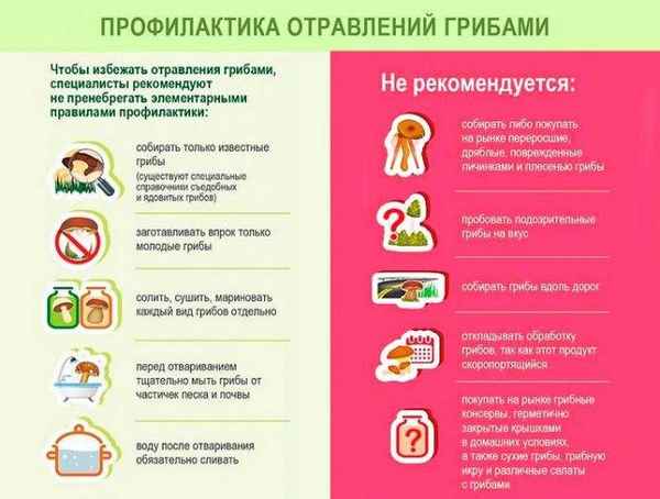 Можно ли кормящей маме белые грибы