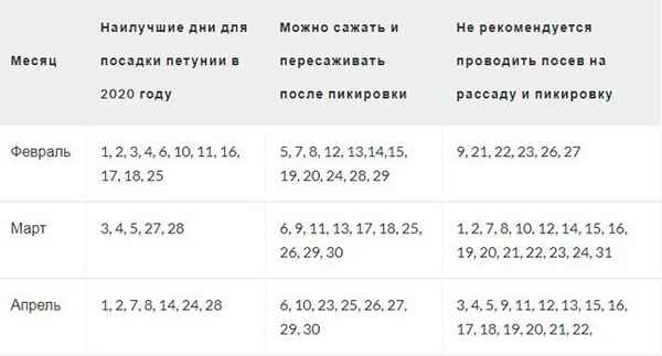 Когда сеять петунию на рассаду? Лунный календарь 2022