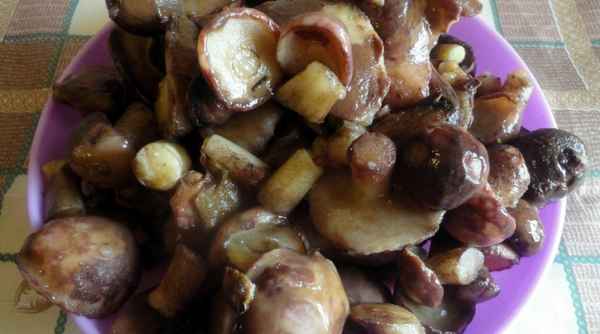 Способы заморозки маслят на зиму