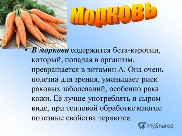 Какие витамины содержатся в моркови и чем они полезны для организма человека?