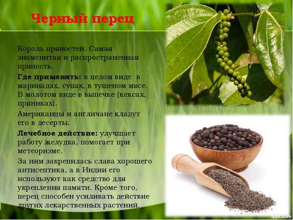 Полезные свойства и особенности чёрного молотого перца