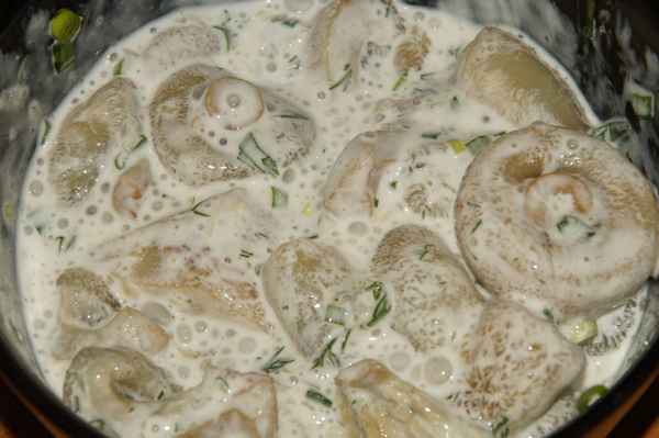 Как приготовить блюда из груздей