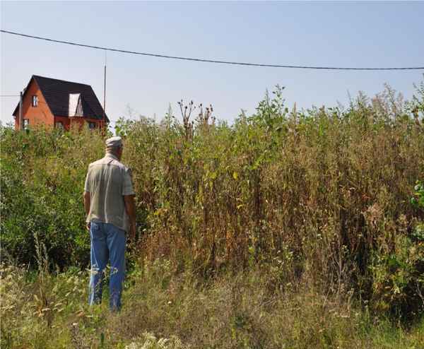 Как превратить заросший участок в образцовый огород? Минимум усилий — максимум результата!