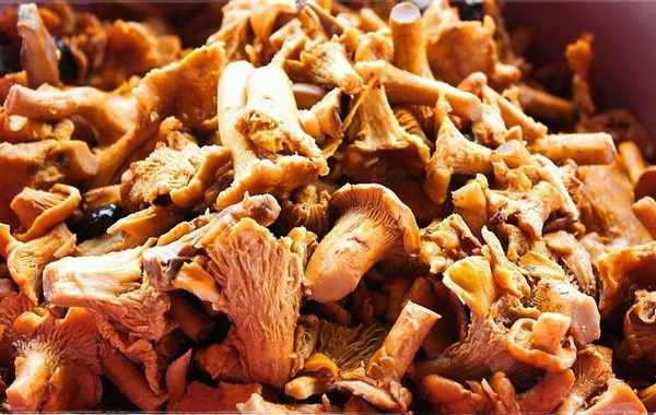 Что можно приготовить из сушёных лисичек