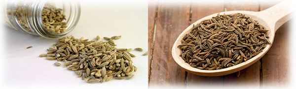Как принимать семена укропа от глистов